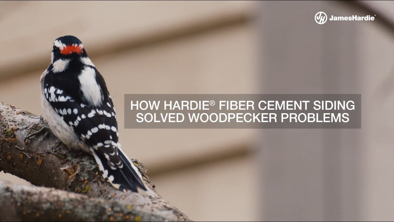 Hardie® Fiber Cement Siding Holds No Appeal For Woodpeckers