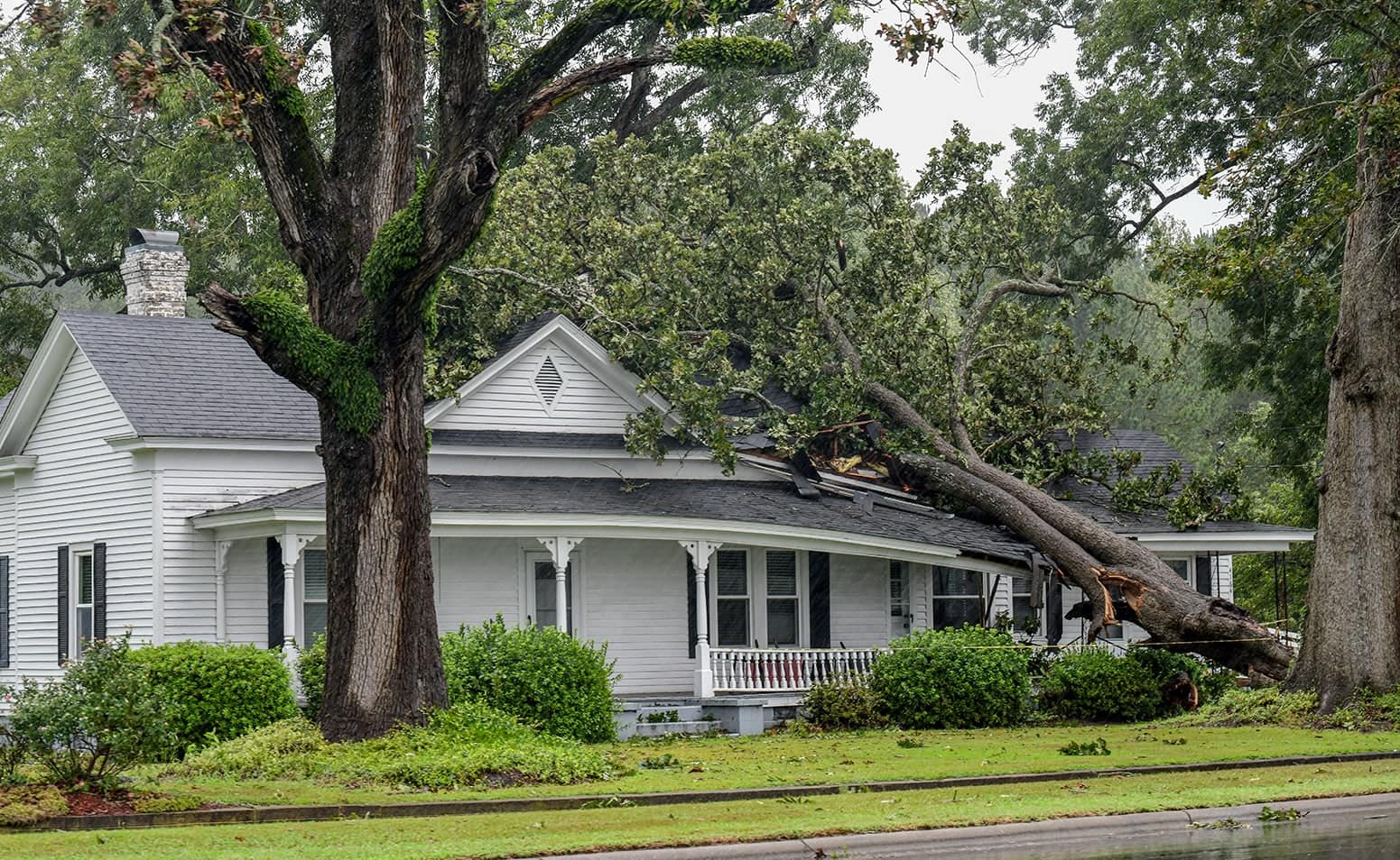 A home with a fallen tree on the roof