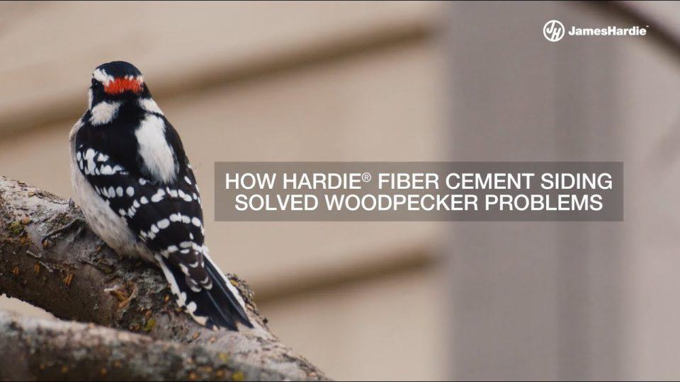 James Hardie Cement Siding protecting from Woodpeckers